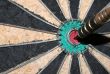 Bulls-Eye Closeup