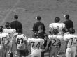 Three Coachs