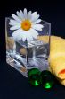 Daisy in the vase and bath pearls