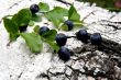 Blueberry