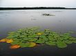 Silent lake
