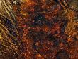 Background - boggy, brown water