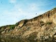 Breakage and birds