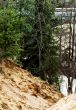 Sand, water, trees and bridge