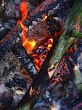 campfire