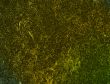 Great for textures and backgrounds