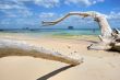 paradise beach