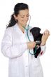 Attractive lady veterinarian