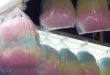 Cotton Candy