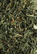 Dill Weed