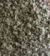 Ground Sage