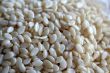 Sesame Seeds