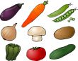 Vegetables illustration