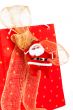 Santa Claus and red bag
