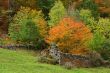 Old walls in autumn