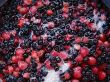Compote from forest berries