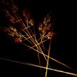 Fractal design