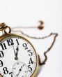 Pocket Watch and Chain