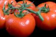 Vine Ripe Tomatoes