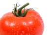 Delicious Vine Ripe Tomato