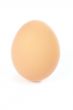 A single egg with shadow