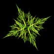Fractal christmas tree