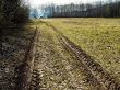 spring field