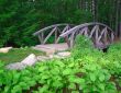 Bridge in the Woods