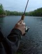 Fishing Macro