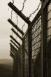 Security fence