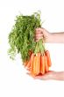 Holding a bunch of carrots