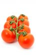 Tomatoes on bunch