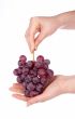 Red grapes bunch in the hands