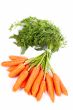 Bunch of fresh carrots
