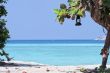 island tropical beach