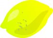 Lemon sketch