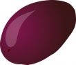 Plum sketch