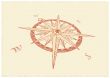 Compass Windrose