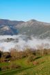Landscape in the early morning fog