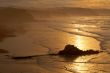 The golden sunrise