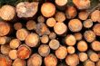 Logs stacked