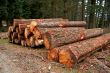Logs stacked