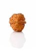 Walnut on reflected background