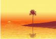 Red sunset
