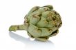 Fresh and tasty artichoke