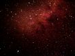 stars in the night sky