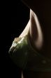 armpit and breast