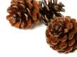 Christmas ornaments - 4