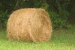 Hay Bale