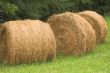 Hay Bales